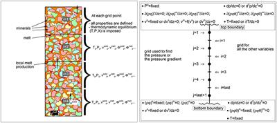 Petrological Geodynamics of Mantle Melting I. AlphaMELTS + Multiphase Flow: Dynamic Equilibrium Melting, Method and Results